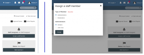 More information about "Assign Staff Member to Reports"